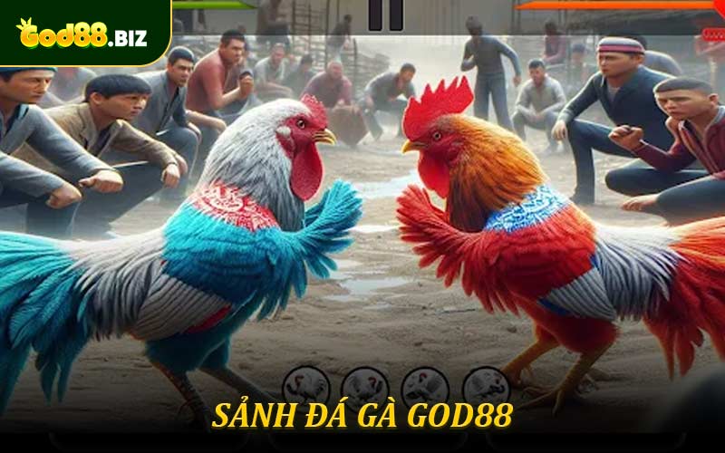 Sảnh Đá Gà God88 có gì hấp dẫn