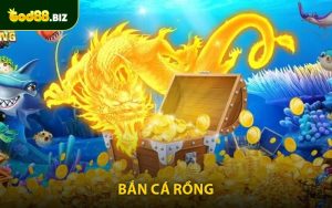 Bắn Cá Rồng - Tựa Game Săn Tiền Thưởng Cực Đỉnh