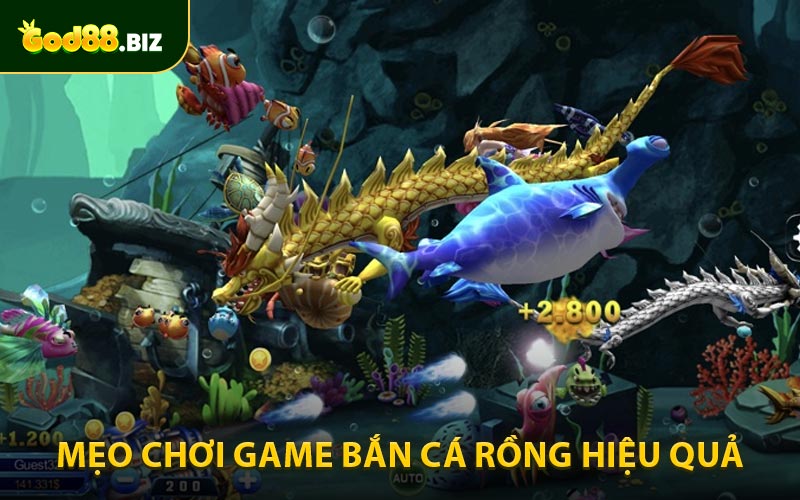 Bí Quyết Chơi Bắn Cá Rồng Dễ Thắng